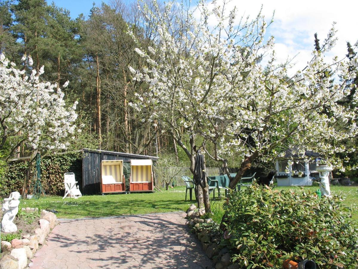 Uni - Luebeck Appartement Groß Grönau Esterno foto